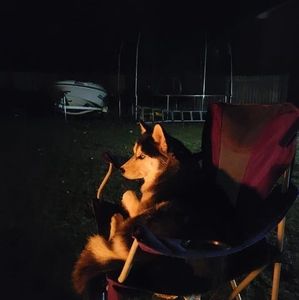 Meet your Posher, Gary